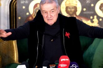 gigi becali a dezvaluit cat este dispus sa plateasca pentru marca steaua daca va fi scoasa la licitatie 68b433320bd21