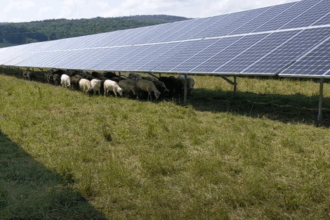 grafice productia de energie regenerabila a scazut cu 2 in pofida majorarii capacitatilor instalate cu aproape 20 influenta principala a prosumatorilor se simte mai ales in ceea ce priveste consumul 68a2fa314d76f