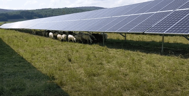 grafice productia de energie regenerabila a scazut cu 2 in pofida majorarii capacitatilor instalate cu aproape 20 influenta principala a prosumatorilor se simte mai ales in ceea ce priveste consumul 68a2fa314d76f