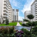 Impact Developer & Contractor – progrese remarcabile în primul semestru 3 impact developer contractor rezultate drastic ameliorate la s1 68a60a390a5c8