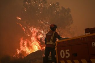 incendii de vegetatie uriase in portugalia lisabona cere ajutorul europei 68a17940c8c68