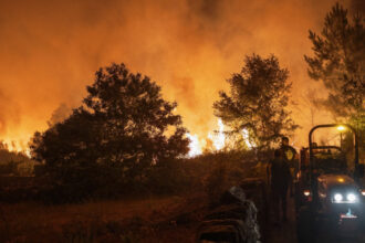 incendiile de padure au devastat o suprafata record in centrul portugaliei 68ac75eeb784f