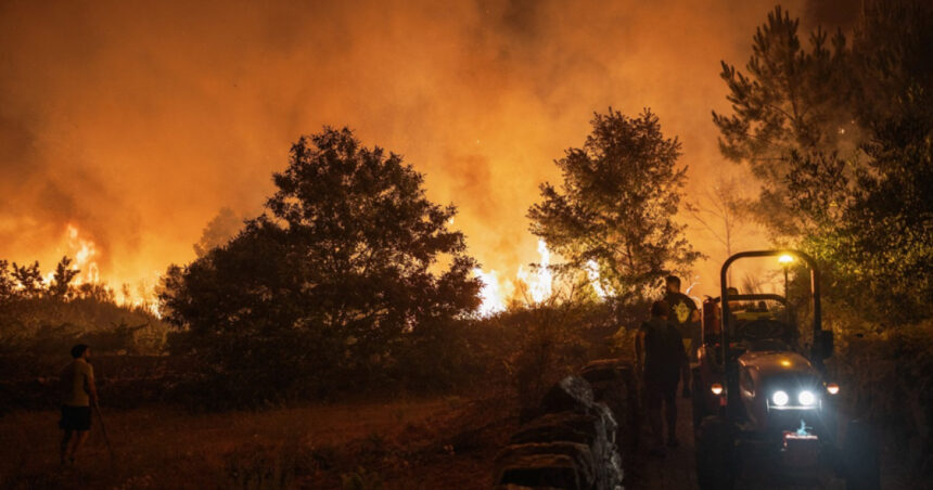 Flăcările au mistuit o întindere fără precedent în inima Portugaliei 1 incendiile de padure au devastat o suprafata record in centrul portugaliei 68ac75eeb784f