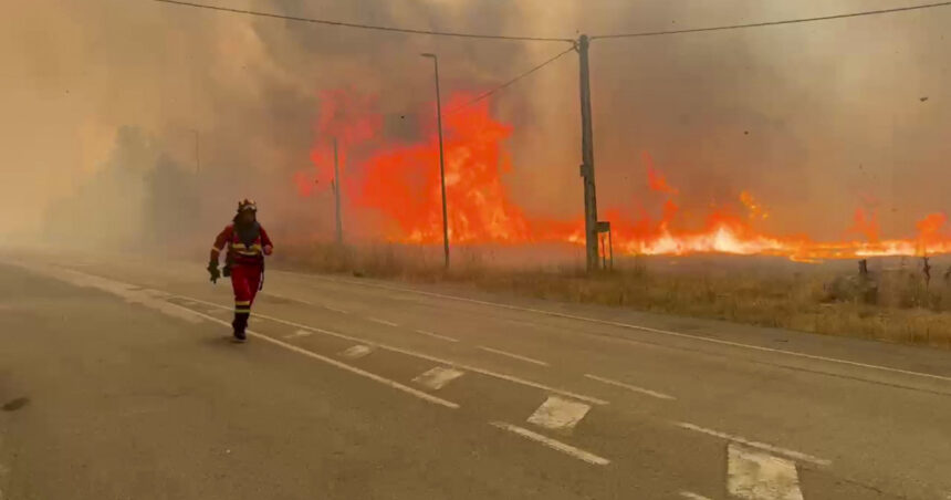 Focul devastator: Peste un milion de hectare mistuite de incendiile de vegetație în UE – Ce națiuni au suferit cel mai mult? 1 incendiile de vegetatie record au parjolit peste un milion de hectare de teren anul acesta in ue care sunt tarile cele mai afectate 68adcafbec8f2
