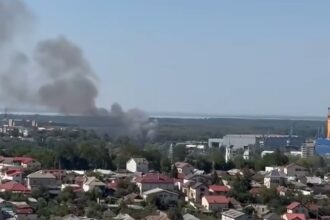 incendiu aproape de santierul naval din tulcea intervin mai multe echipaje de pompieri si politie 68a090519ca43