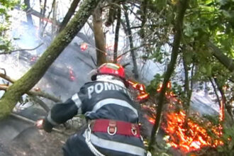 incendiu de vegetatie in hunedoara 60 de hectare au fost afectate iar focul a ajuns aproape de o manastire 68b2c3803623a