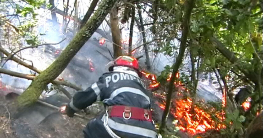 Flăcările devastatoare din Hunedoara: 60 de hectare arse și pericolul amenință mănăstirea din apropiere 1 incendiu de vegetatie in hunedoara 60 de hectare au fost afectate iar focul a ajuns aproape de o manastire 68b2c3803623a