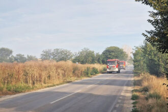 incendiu de vegetatie la iesire din medgidia spre valea dacilor intervin mai multe autospeciale de stingere 68adf0b6a7ee2