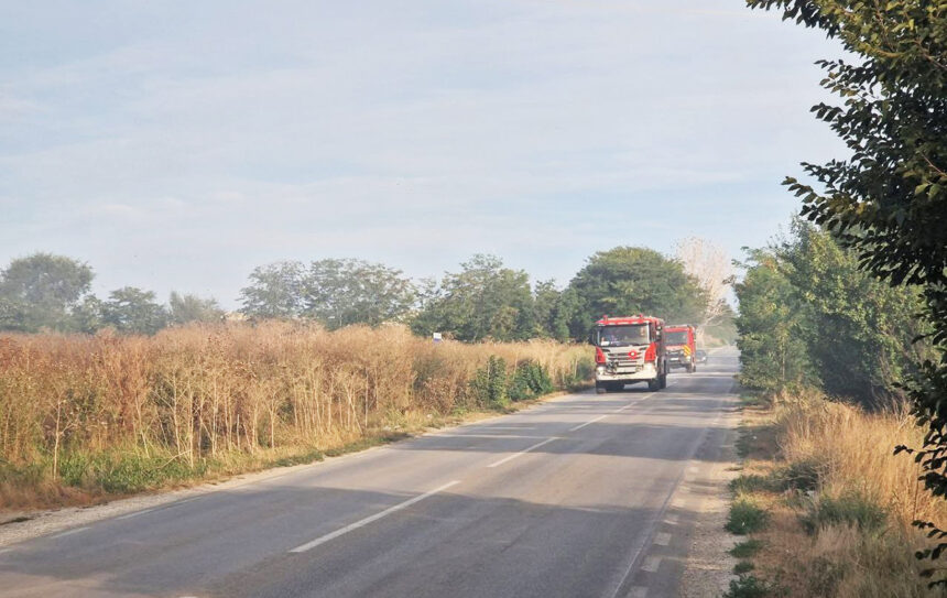 Flăcări devastatoare în apropierea Medgidiei, pe drumul către Valea Dacilor: Echipaje de intervenție mobilizate pentru stingerea incendiului de vegetație. 1 incendiu de vegetatie la iesire din medgidia spre valea dacilor intervin mai multe autospeciale de stingere 68adf0b6a7ee2