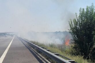 incendiu de vegetatie uscata in apropierea autostrazii soarelui circulatia rutiera a fost deviata 6899d9e56fab2