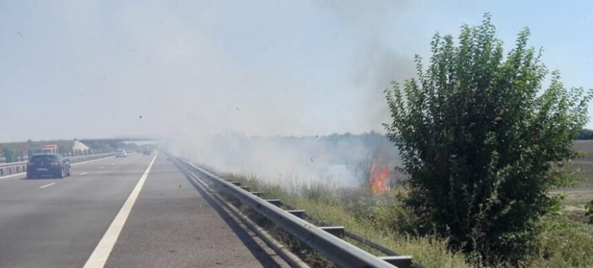 Flăcările de vegetație în apropierea Autostrăzii Soarelui au dus la redirecționarea circulației rutiere. 1 incendiu de vegetatie uscata in apropierea autostrazii soarelui circulatia rutiera a fost deviata 6899d9e56fab2