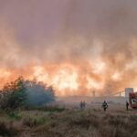Flăcări devastatoare în sălbăticia dintre Murighiol și Mahmudia 3 incendiu de vegetatie uscata intre murighiol si mahmudia 68a9a48c4360e