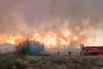 incendiu de vegetatie uscata intre murighiol si mahmudia 68a9a48c4360e
