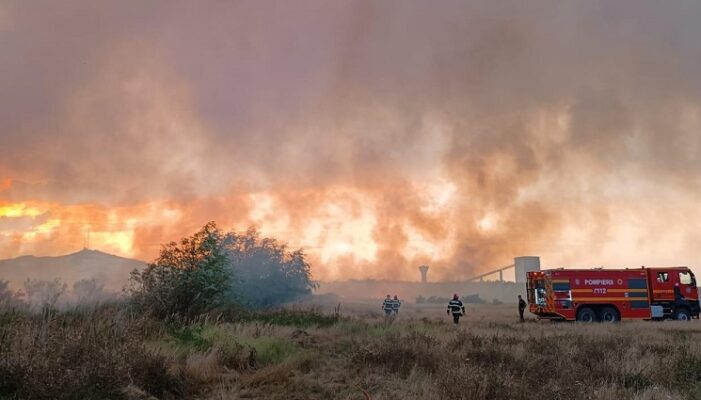 Flăcări devastatoare în sălbăticia dintre Murighiol și Mahmudia 1 incendiu de vegetatie uscata intre murighiol si mahmudia 68a9a48c4360e