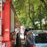 incendiu in cartierul boreal din constanta iata de la ce a pornit focul 6899a49c806e2