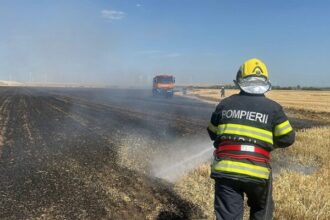 incendiu intre lanurile si ciocarlia o camioneta a luat foc iar flacarile s au extins la vegetatia uscata 68948cafc76d2