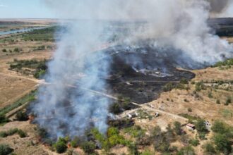 incendiu violent de vegetatie uscata in medgidia pompierii intervin cu 9 autospeciale 68a1e8e41d216