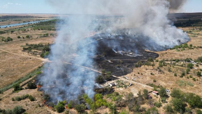 Flăcări devastatoare în Medgidia: Pompierii mobilizați cu nouă autospeciale pentru stingerea incendiului de vegetație uscată 1 incendiu violent de vegetatie uscata in medgidia pompierii intervin cu 9 autospeciale 68a1e8e41d216