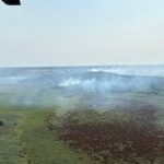 Flăcări furioase în Chilia Veche: Peste 330 de tone de apă stropite pe focarele mistuitoare 2 incendiu violent in zona chilia veche peste 330 de tone de apa aruncate asupra focarelor active 68985305d19b4
