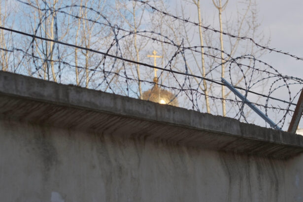 infractori rusi au incercat sa introduca droguri intr o inchisoare din nijni novgorod cu ajutorul unei pisici 68a48949d026c