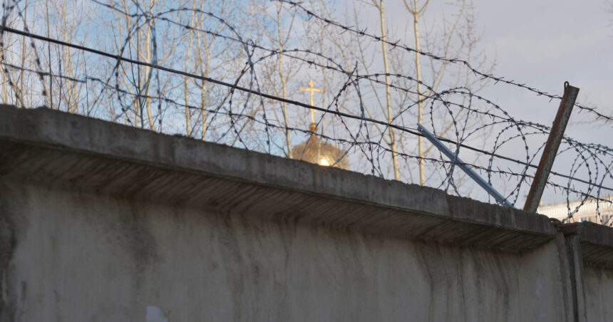 O pisică ingenioasă, folosită de infractorii ruși pentru a contrabanda droguri într-o închisoare din Nijni Novgorod 1 infractori rusi au incercat sa introduca droguri intr o inchisoare din nijni novgorod cu ajutorul unei pisici 68a48949d026c