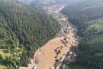 inundatiile din suceava si neamt zeci de animale pasari pierdute si stupi distrusi veterinarii intervin in brosteni si ostra 68938c9468bbe