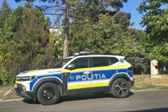 jale in trafic soferi beti sau fara permis prinsi de politistii din agigea costinesti si techirghiol 68a32fd4a319e