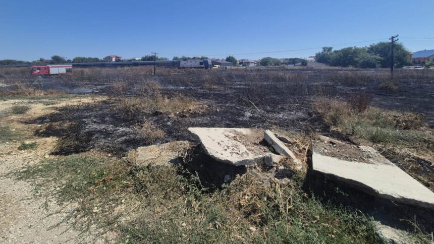 Echipele de ordine au intervenit pentru a înfrunta flăcările în Costinești 1 jandarmii si politistii au sprijinit stingerea unui incendiu in costinesti 68a74ac51de62
