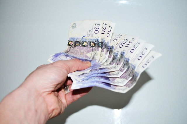 Lira sterlină câștigă teren după anunțul Băncii Angliei privind scăderea ratei dobânzii de referință 1 lira sterlina s a apreciat dupa decizia bancii angliei de a reduce dobanda de referinta 6895a4f3df88a