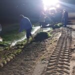 Litoralul românesc, curățat de 2.700 de tone de vegetație marină! 2 litoralul romanesc eliberat de 2 700 de tone de alge 68ade8e28ecf4