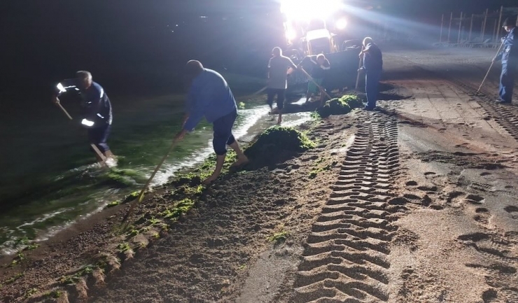 Litoralul românesc, curățat de 2.700 de tone de vegetație marină! 1 litoralul romanesc eliberat de 2 700 de tone de alge 68ade8e28ecf4