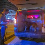 Șoferii din Mamaia, în vizorul poliției constănțene: Câinele Ares de la Brașov se alătură acțiunii! 3 live foto video soferii din mamaia luati la intrebari de politistii din ipj constanta la actiune participa si cainele ares din politia brasov 68a0cc134df76