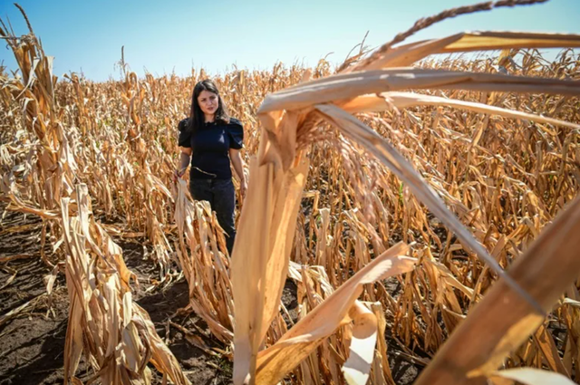 lucrarile agricole in camp se vor desfasura cu dificultate in aproape toata tara din cauza secetei 68b2cc044e7de