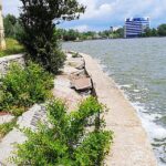 Lacul Tăbăcărie: Malurile sale așteaptă o transformare, licitația fiind în evaluare 3 malurile lacului tabacarie inca asteapta sa fie reabilitate licitatia este in evaluare 68a4f61106ec2