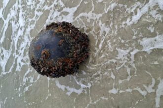 mina marina descoperita la vadu a fost neutralizata 68b48e6fb92f0