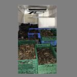 Murighiol: Poliția descoperă rețeaua clandestină de raci și creveți! Detalii din investigație 3 murighiol transport ilegal de raci si creveti depistat de politisti date din ancheta 689d92270f92c