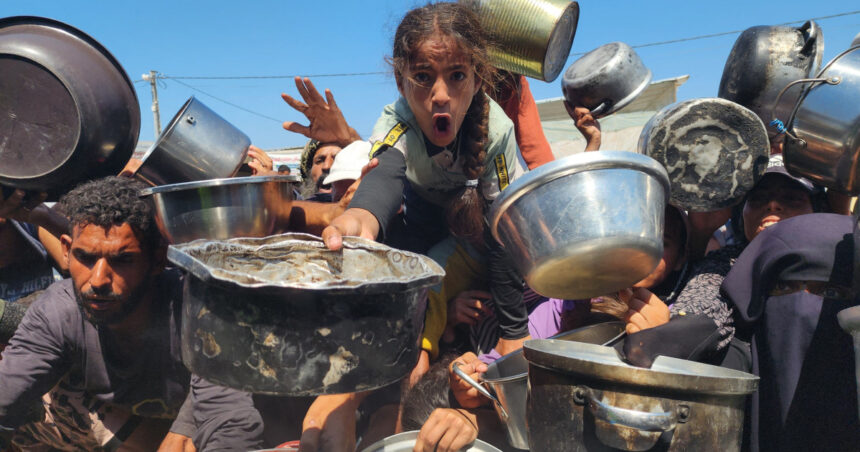 ONU proclamă oficial criza alimentară în Gaza: un sfert din locuitori se confruntă cu lipsa hranei. 1 onu declara oficial stare de foamete in orasul gaza un sfert din populatie nu are ce manca 68a88f5b79b06