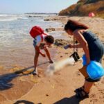 Opt delfini străini de mare, găsiți pe țărm într-o singură zi 2 opt delfini esuati pe litoral descoperiti intr o singura zi 68a02645d55cd