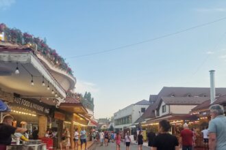 patronii de la casa covasna din satul de vacanta au dat in judecata consiliul local constanta la mijlocul litigiului terenul pe care se afla casuta 689600dfdac28