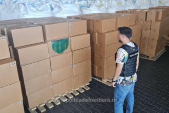 peste 15 milioane de tigarete gasite intr un container de politistii garzii de coasta produsele valoareaza 4 milioane de euro 689c4dbeed6f9