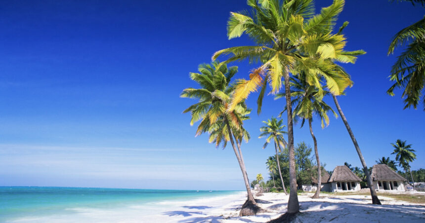 Peste 30 de sătmăreni păcăliți cu excursii false în Zanzibar. Ce sumă uriașă este în joc? 1 peste 30 de persoane din satu mare inselate cu vacante fictive in zanzibar la cat se ridica prejudiciul 689da58b33176