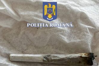 petrecerea s a incheiat prost tanara prinsa cu canabis la neversea condamnata la inchisoare 68ae2eed29905