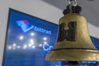 pierdere la s1 pentru bittnet systems conducerea companiei mizeaza pe contracte in valoare de sute milioane lei 68b1d96e5f045
