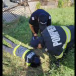 Pompierii intervin pentru a salva un câine căzut într-un canal: ISU solicită marcarea vizibilă a zonelor periculoase pentru oameni și animale. 3 pompierii au salvat un caine cazut in canal isu cere semnalizarea zonelor cu risc vizibila atat pentru oameni cat si pentru animale 68a5bef9b768d