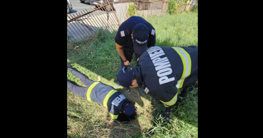 Pompierii intervin pentru a salva un câine căzut într-un canal: ISU solicită marcarea vizibilă a zonelor periculoase pentru oameni și animale. 1 pompierii au salvat un caine cazut in canal isu cere semnalizarea zonelor cu risc vizibila atat pentru oameni cat si pentru animale 68a5bef9b768d