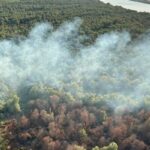Elicopterul Black Hawk și pompierii revin în acțiune în Chilia Veche! 3 pompierii si un elicopter black hawk intervin din nou in zona chilia veche 6891d079ccabc