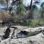 Pompierii tulceni revin în inima Deltei Dunării, în zona Sireasa! 2 pompierii tulceni se deplaseaza din nou in zona sireasa din delta dunarii 68a43ae99b2c9