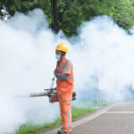China revine la măsuri stricte: Un virus țânțar se extinde rapid în provincia Guangdong! 3 restrictii ca in pandemie in china un virus transmis de tantari se raspandeste rapid in provincia guangdong 6891cb0060c75