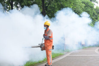 restrictii ca in pandemie in china un virus transmis de tantari se raspandeste rapid in provincia guangdong 6891cb0060c75