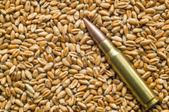 rusia isi creste exporturile de grau pe baza cerealelor din teritoriile ocupate in ucraina 68934ade10e62